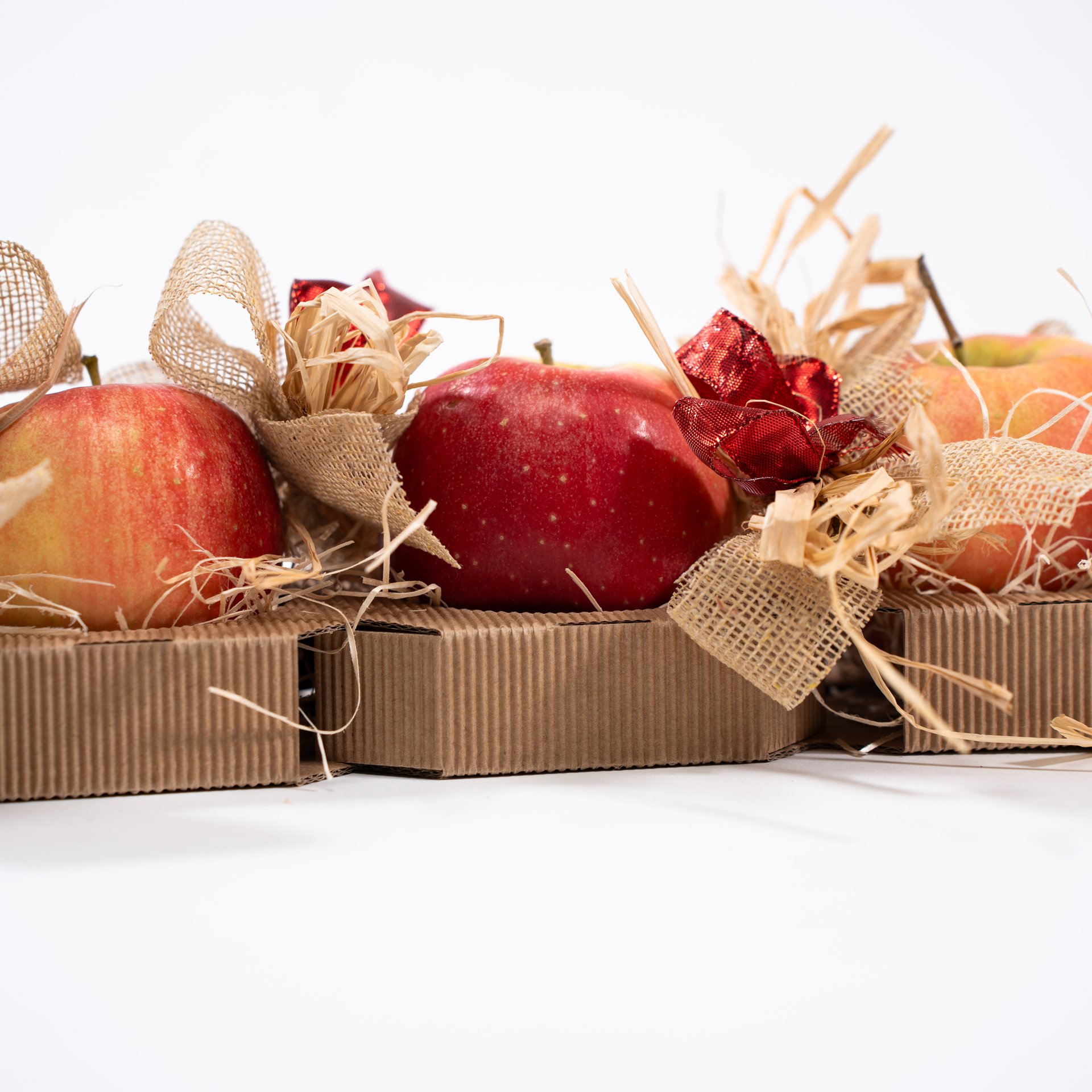 Il bruco mela - immagine 5