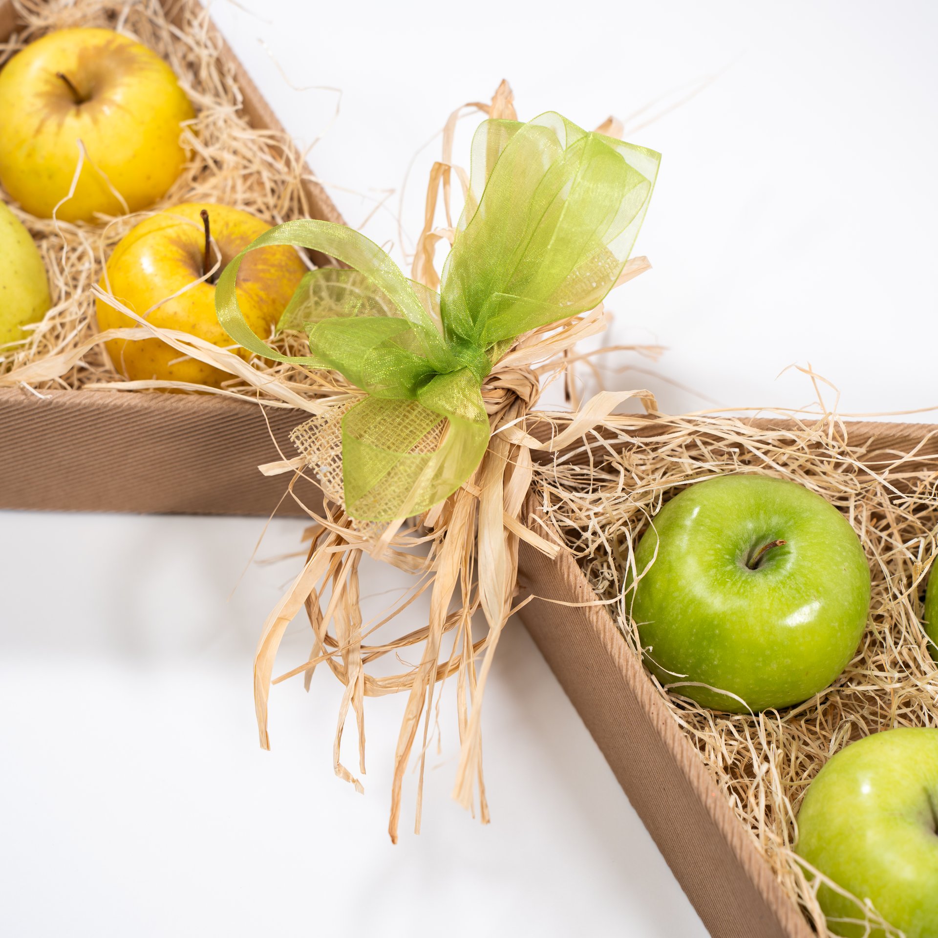 Il papillon di frutta - immagine 6